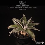 【送料無料】'Metal Stripes'〔ディッキア〕現品発送D0445