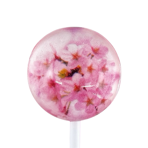 SAKURA CANDY 【JAPAN TRIP】