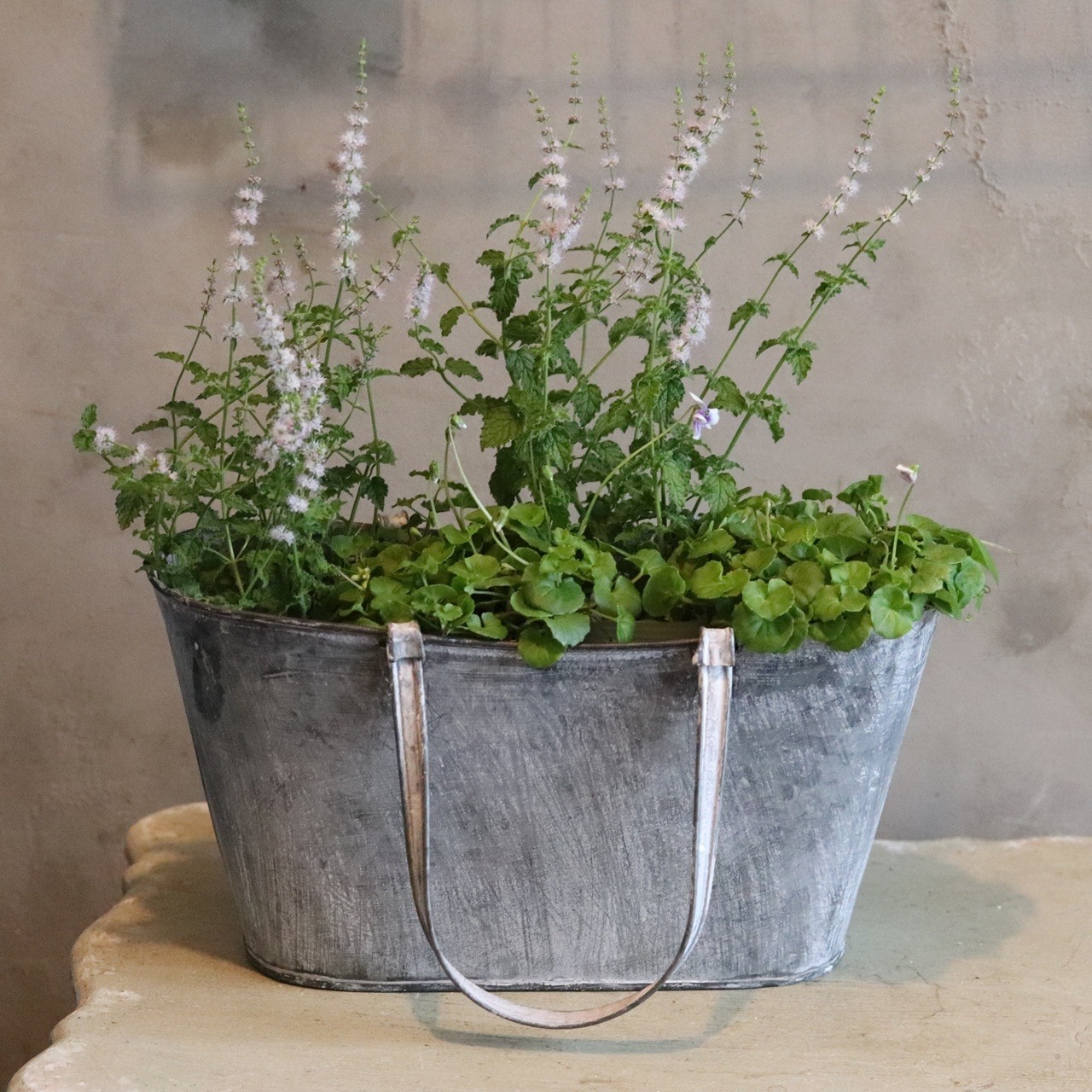 ブリキ植木鉢 　ブリキバッグL　シャビーシック　オシャレ　4063