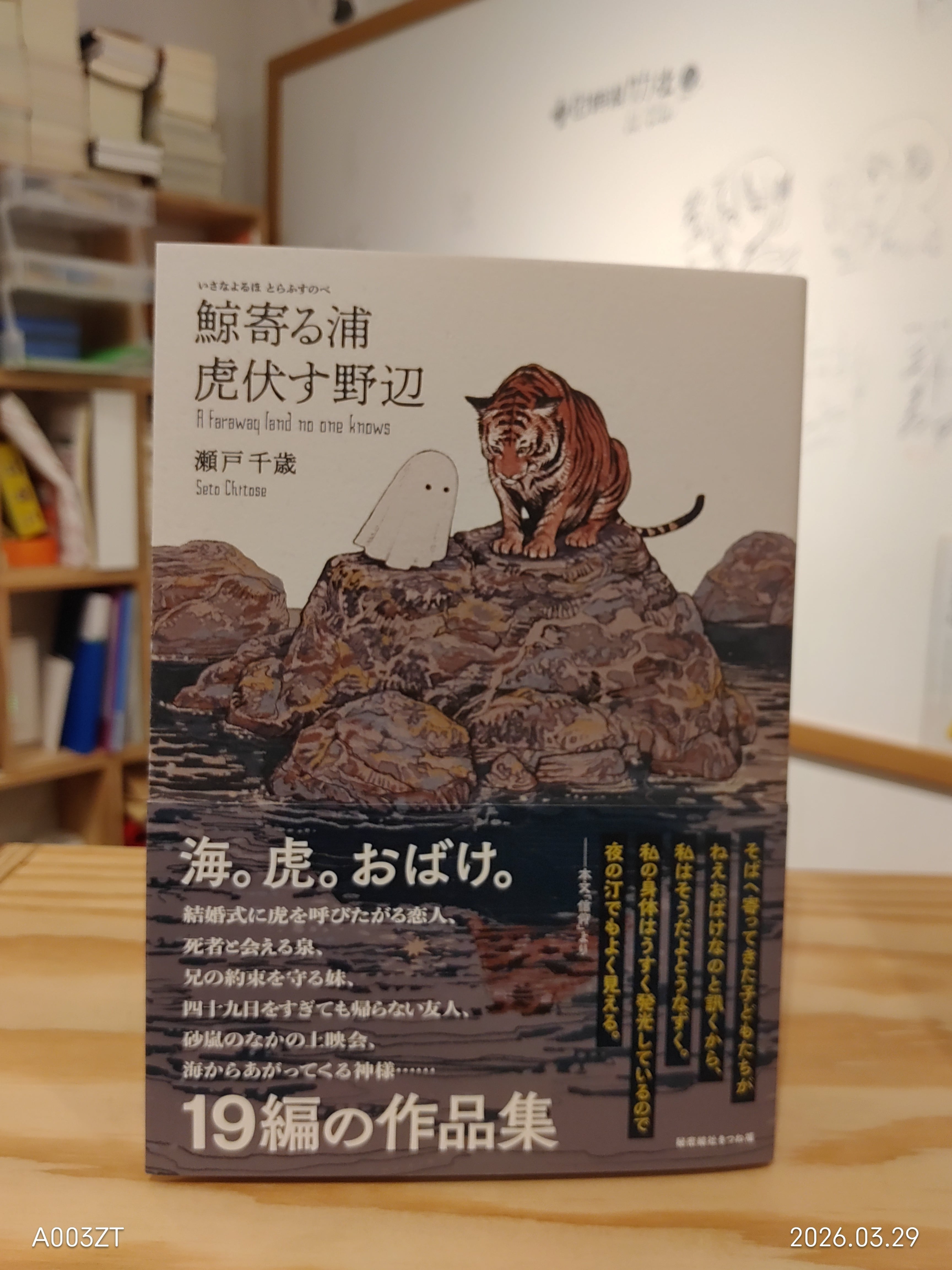古本】西尾維新『鬼怒楯岩大吊橋ツキヌの汲めども尽きぬ随筆という題名