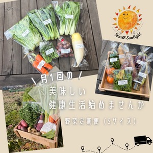 【送料込】有機野菜＆旬の野菜がぎゅっと詰め合わせたセット(定期便）Sサイズ