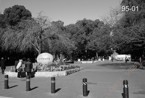 シリーズ 墨東歳時記95　〜上野恩賜公園〜　＜フォトカード・バラ売り＞