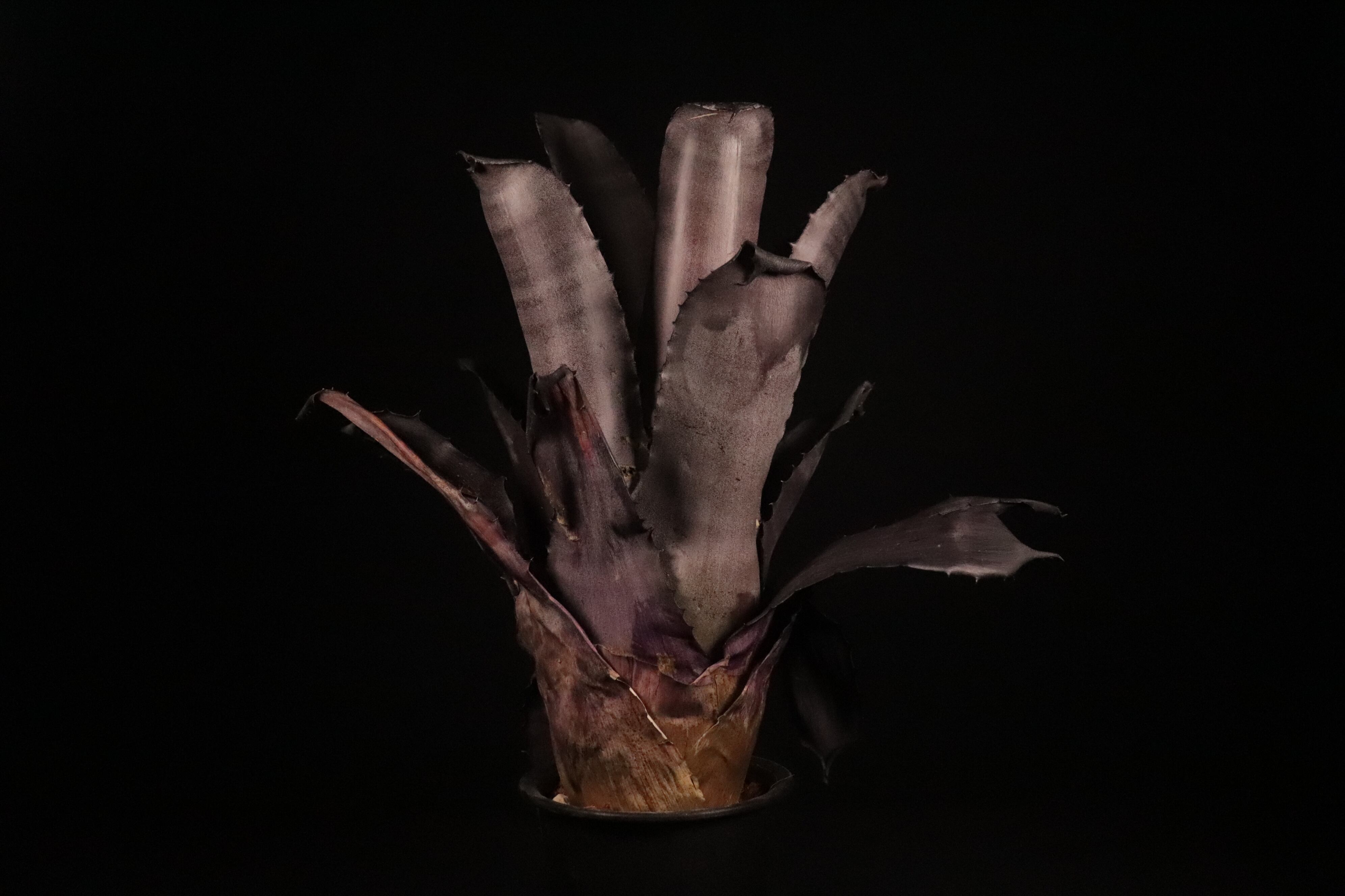 1dd376214d5429598ca69547edeed3