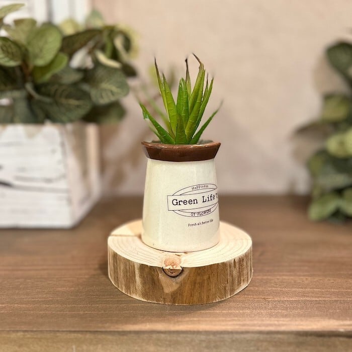 1dd5cabcba4bf5e047cbe300ee75b6