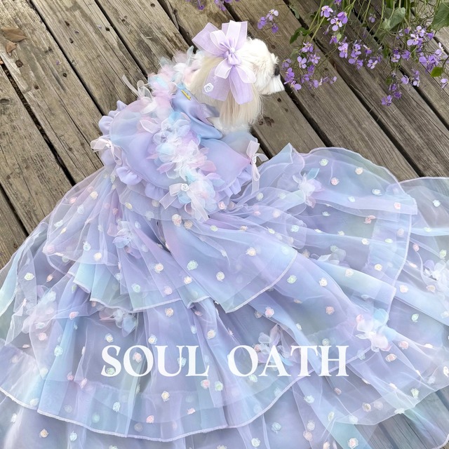 【取寄せ】 Rapunzel風dress