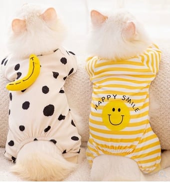 キャット 猫 服カテゴリ キャットウェア 室内着 ベーシック フルーツ クマ かわいい カジュアル おしゃれ ラフ 個性的 主役級 存在感 キュート ドット柄 水玉 ボーダー シマ くま柄 ダルメシアン柄 バナナ 熊 お出かけ アウトドア イベント 室内 コーデ 暖かい インスタ映え S M L XL 2XL ホワイト ブラウン イエロー ブルー