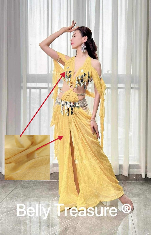 ベリーダンス オーダーメイド衣装 WZY 002 202305