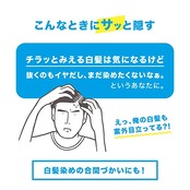 メンズビゲン クイックスティック ブラック 白髪染め ちょこっと白髪をサッと隠せる 1DAYカラー ホーユー