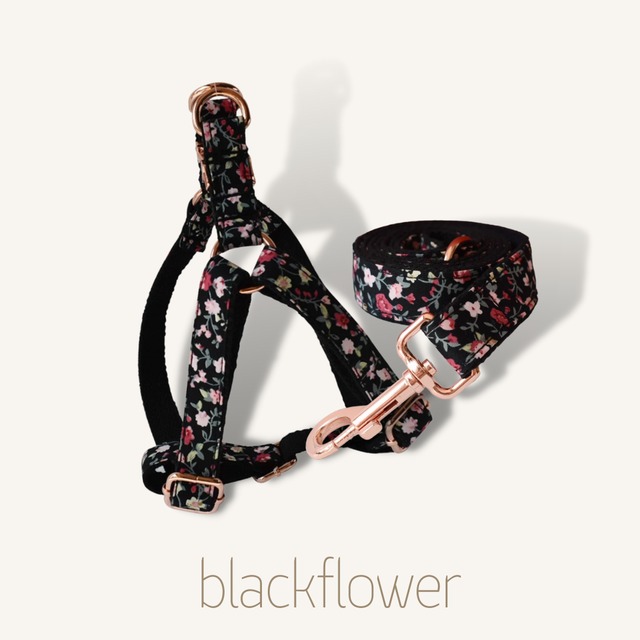 【ブラックフラワー】迷子札刻印サービス・犬用ハーネス&リード