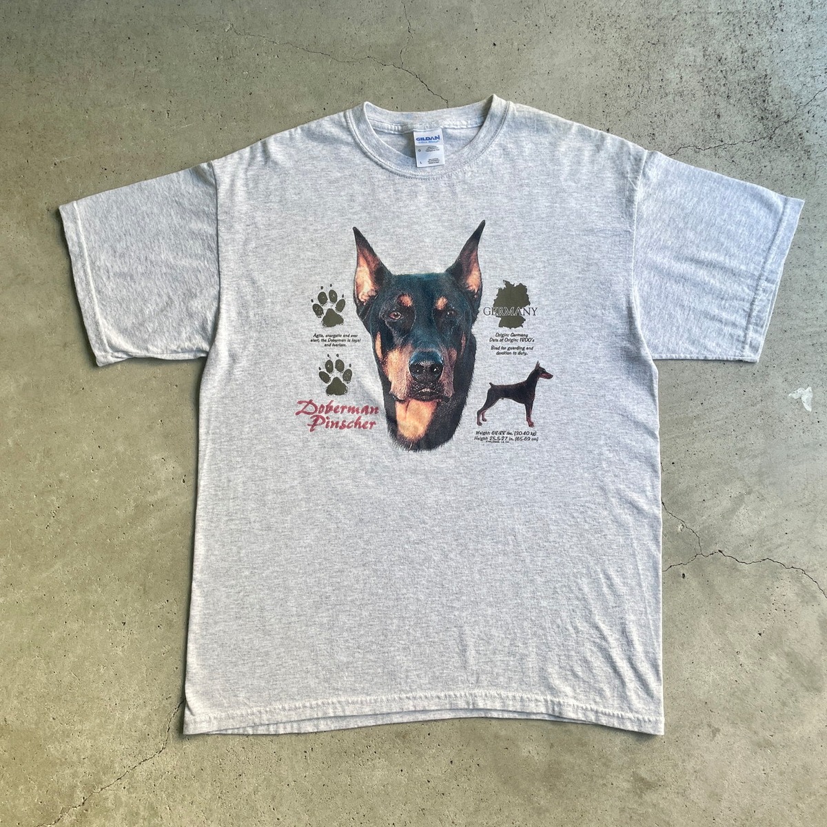 00年代 ドーベルマン アニマル イヌ アート プリントTシャツ メンズL 