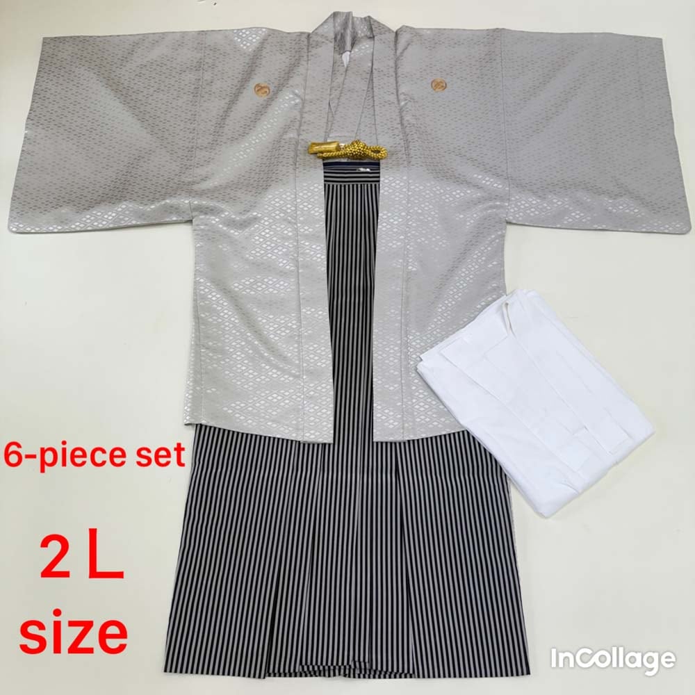 紋付袴 6点セット 着物 羽織 袴 長襦袢 羽織紐 角帯 裄76.5cm 袴丈93cm 2L シルバー 五つ紋 中古 4488