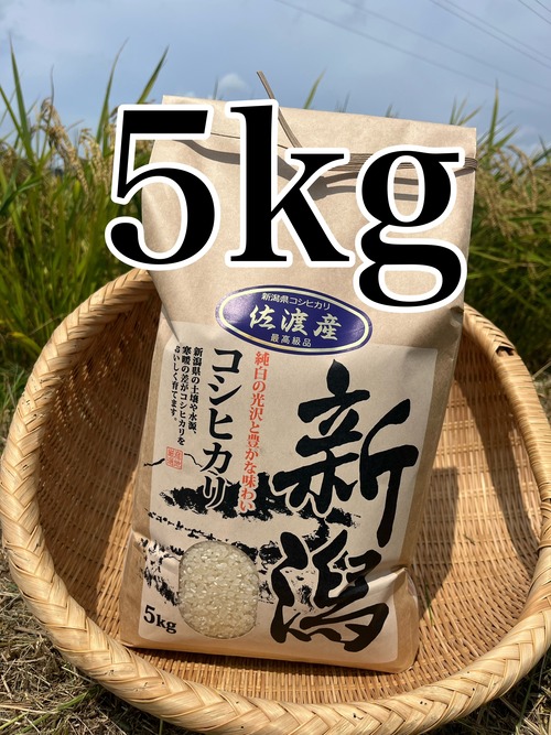 令和8年佐渡産コシヒカリ　5㎏ 画像