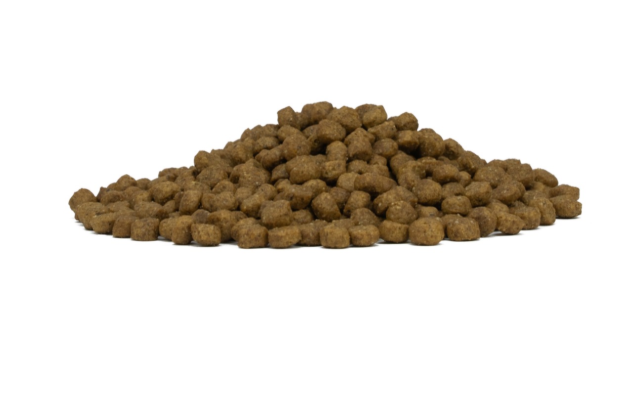 FORZA10　Daily Pro アダルトミニ　小粒　ホース　3.6kg・画像2