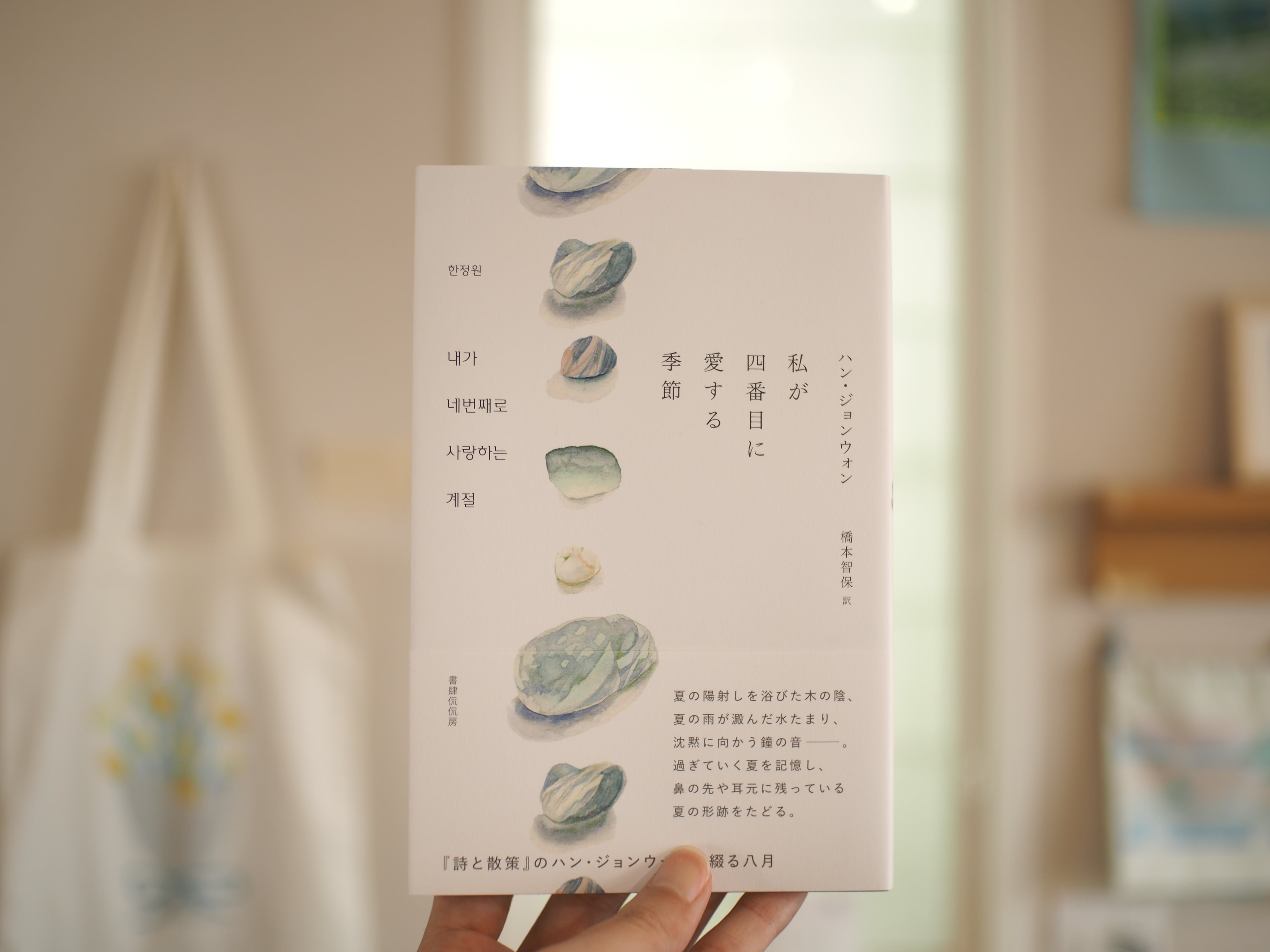 だるま / 西本良太 | 本屋ブーケ