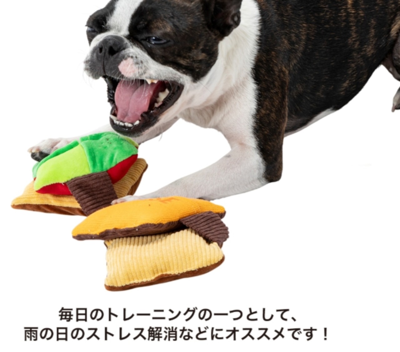 Panel Burger パネルバーガー No7407