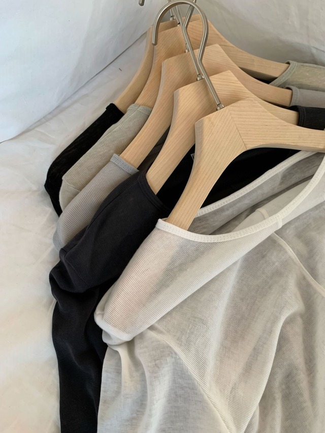 Sheer Long Sleeve Top