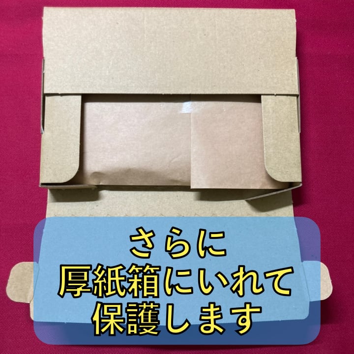 ミライドンex/ジバコイルVSTAR CL宮城優勝デッキ | GLAREGIGAGAMES ミライドンex/ジバコイルVSTAR CL宮城優勝デッキ | GLAREGIGAGAMES
