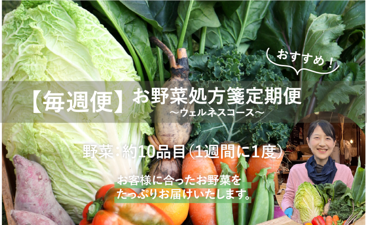 【毎週便】お野菜処方箋定期便 〜ウェルネスコース〜