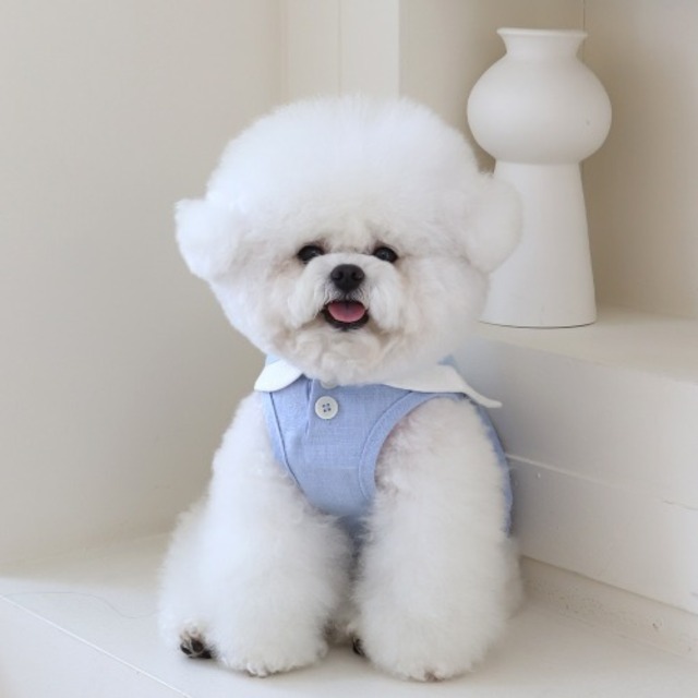 即納 【chiot】パステルリネンケープトップ　ブルー　