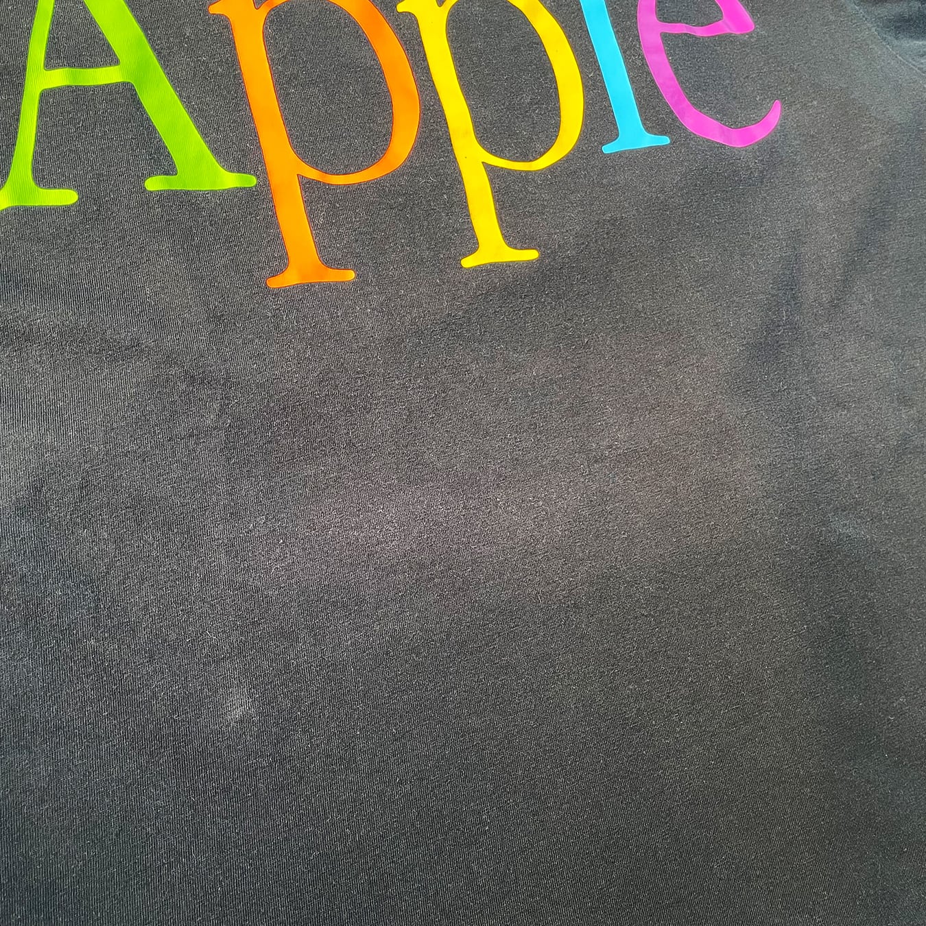 Apple】 Apple本社限定 レインボーロゴ Tシャツ シングルステッチ