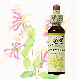 逃避 | バッチフラワーレメディの選定販売 | グッドライフプレア