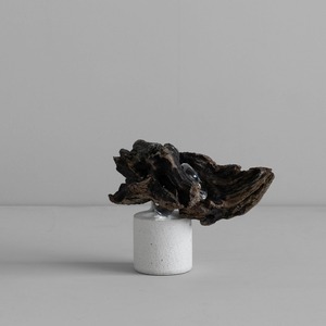 3Framers 水野幸一 流木のオブジェ 照明  MK15