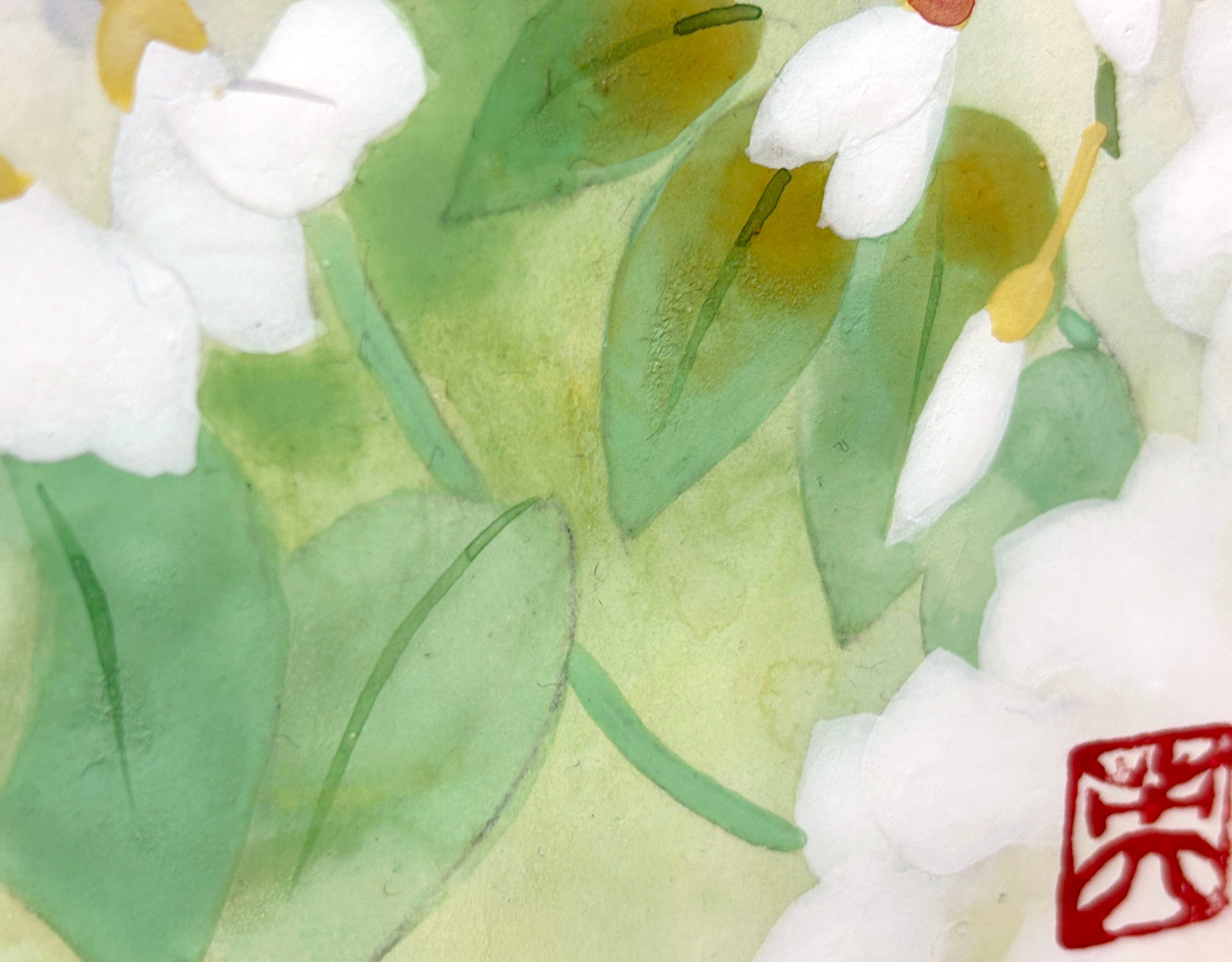 白藤（日本画）White wisteria flowers | 牧野伸英の日本画ショップ