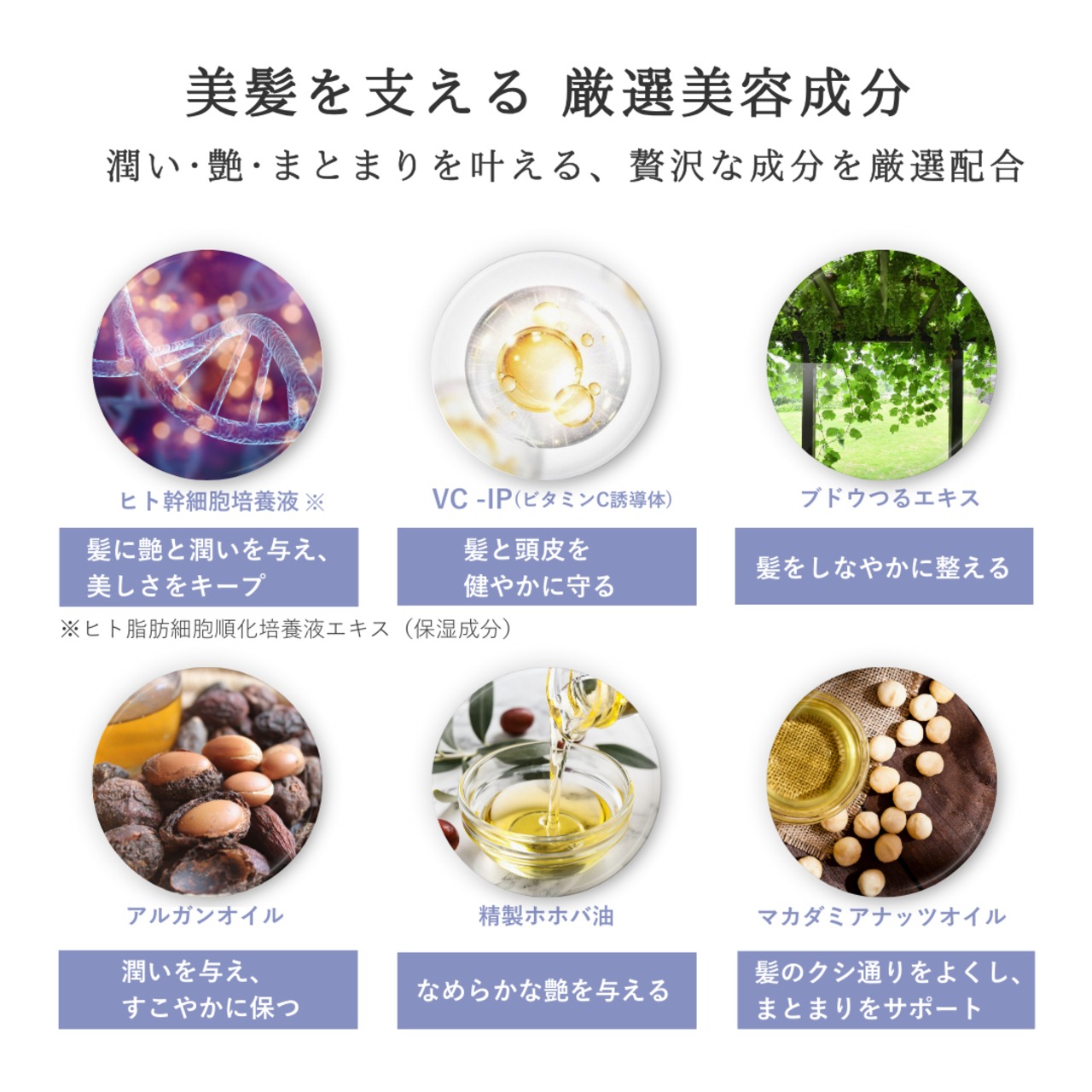 オーディショングロッシーヘアミスト