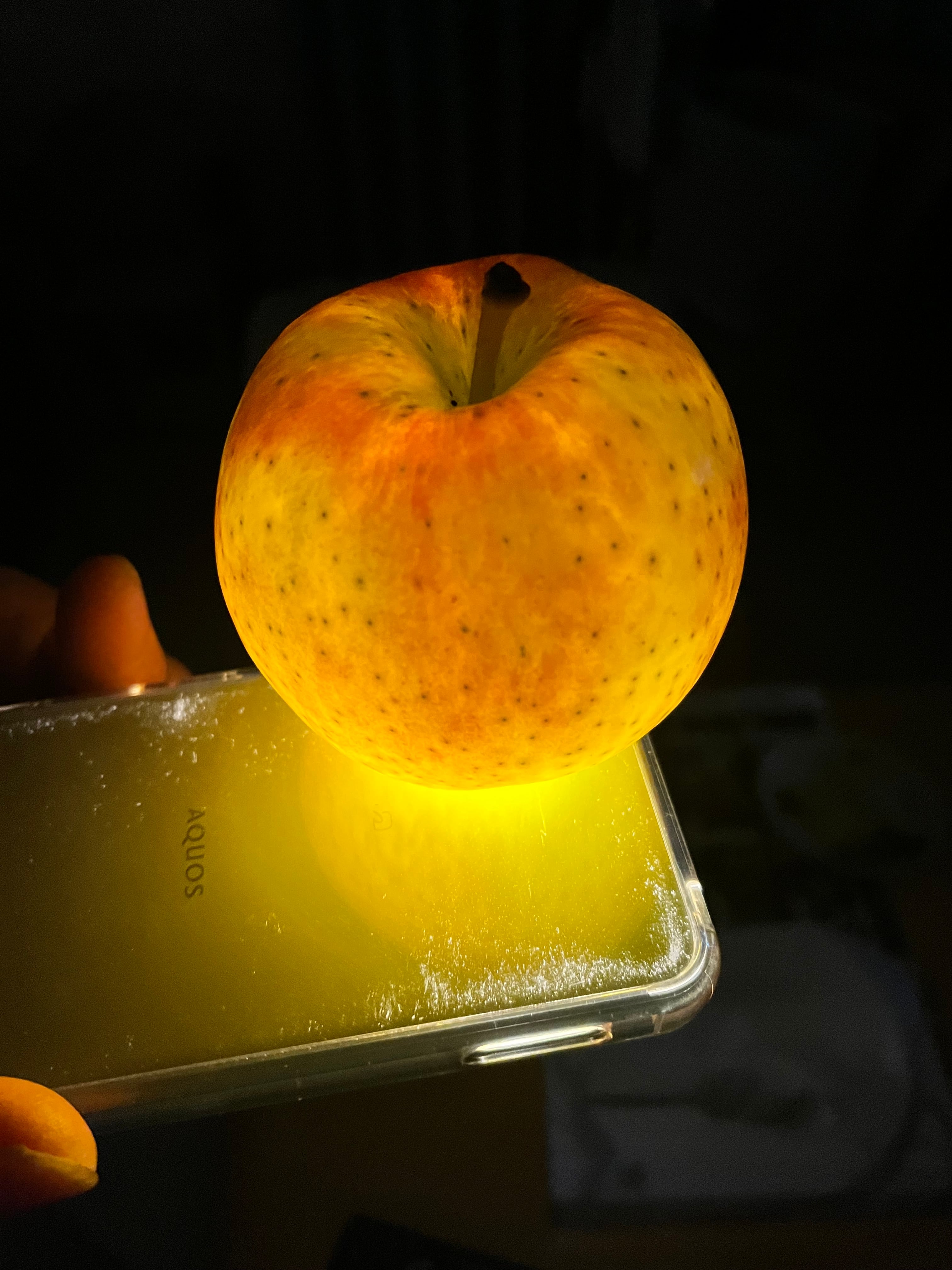 葉とらず高徳　贈答用2kg