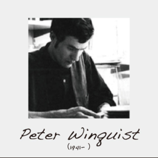 ARABIA アラビア Krokus クロッカス ティーカップ＆ソーサー - 2 北欧ヴィンテージ