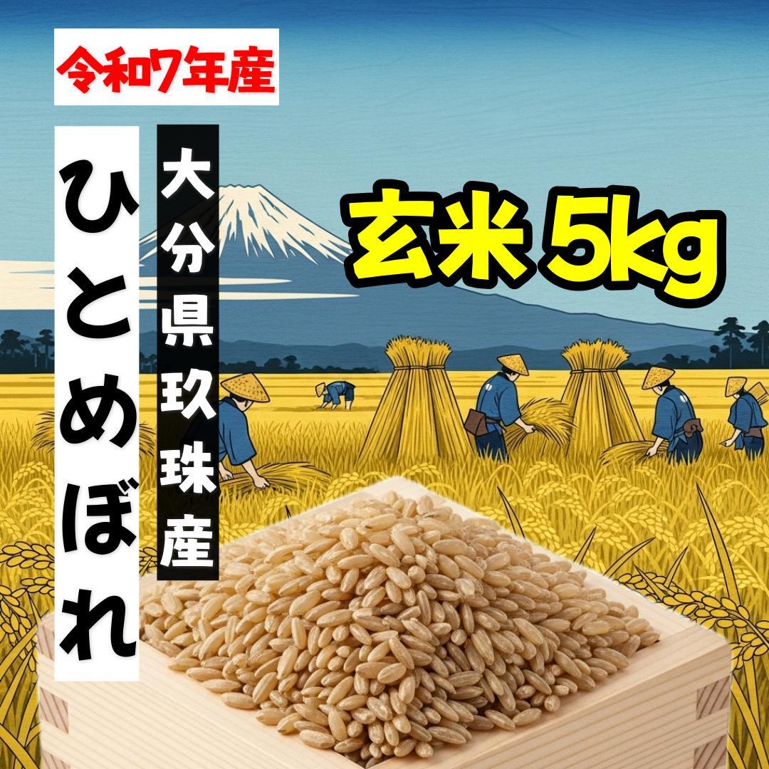 令和7年産 福島県いわき産コシヒカリ30kg玄米 | PAY ID