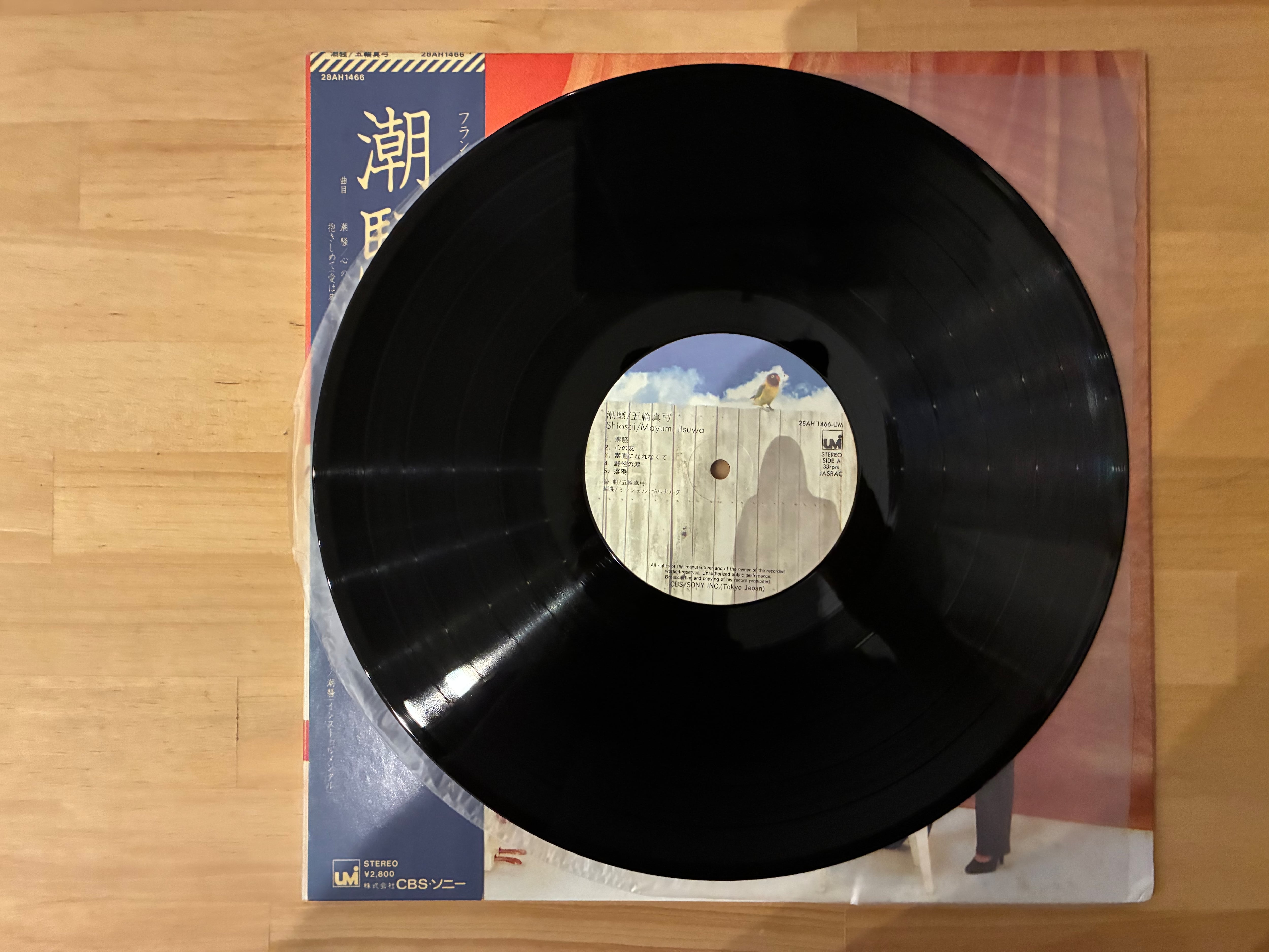 五輪真弓 / 潮騒 | sixteen records (シックスティーンレコード)