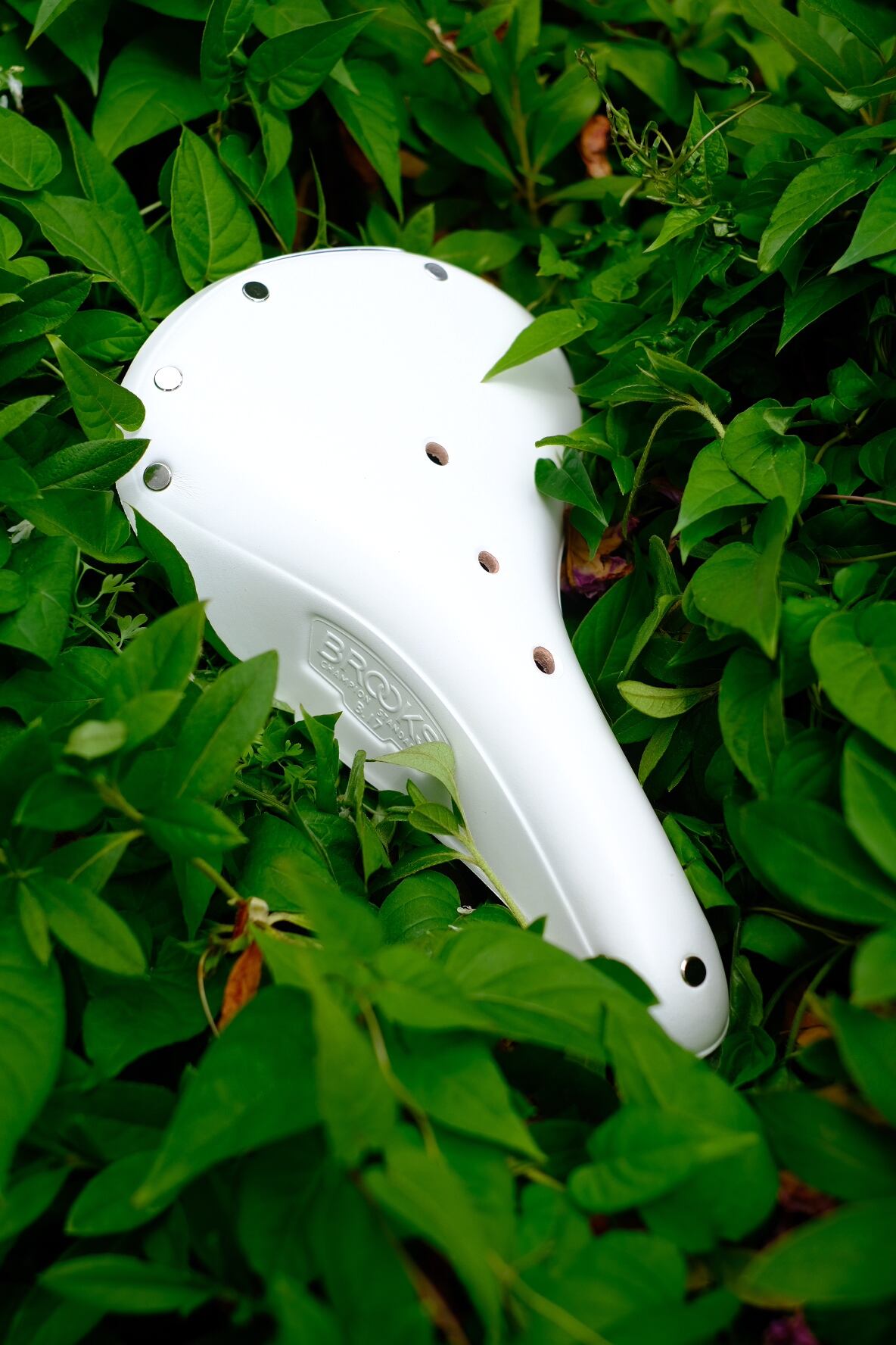 BROOKS】B17 STANDARD (WHITE) | Humhumhug Online Shop