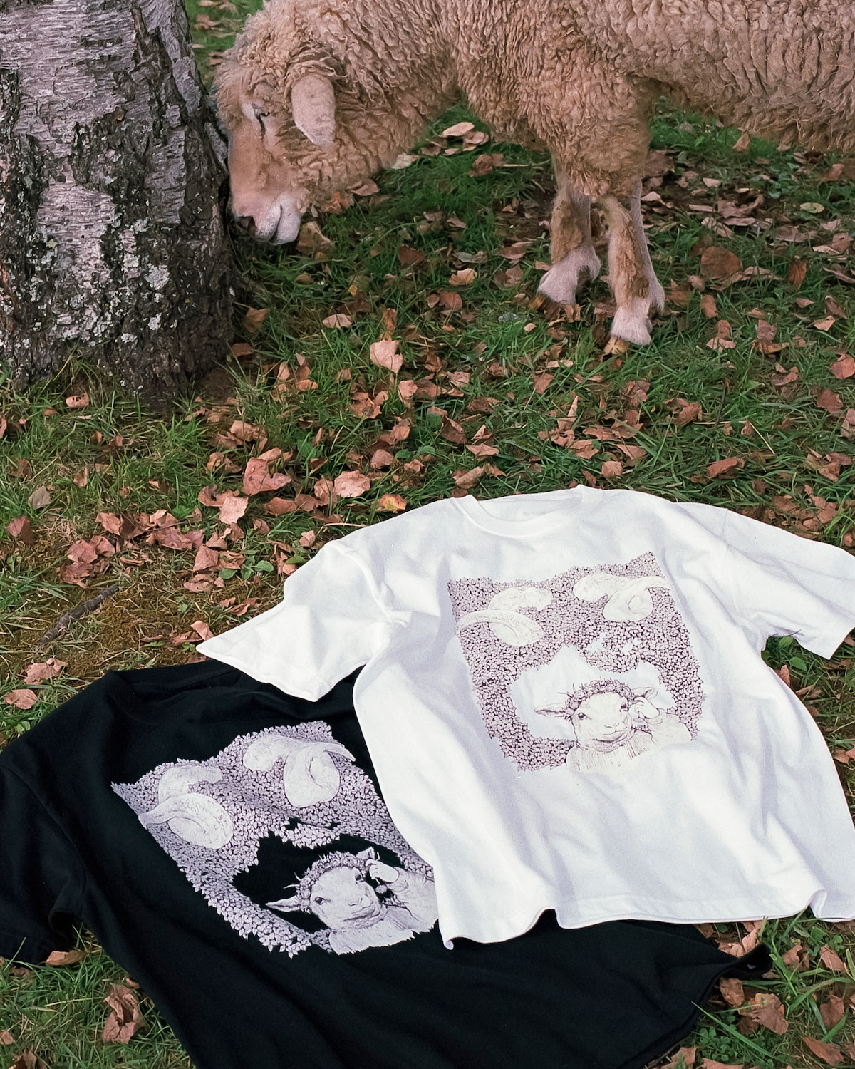 映画『LAMB／ラム』ヒグチユウコイラスト ＜ADA＞MONO Tシャツ（白 