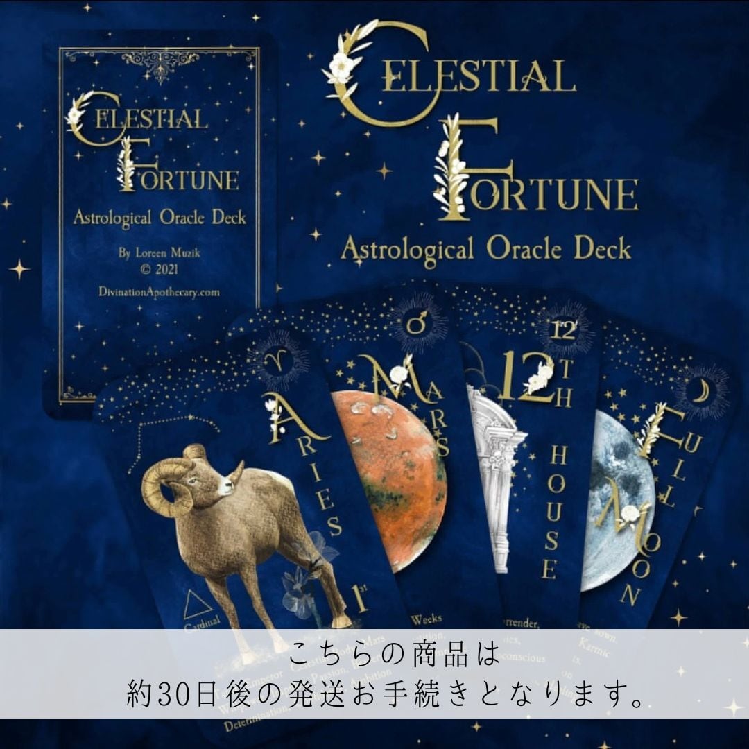 マカロニえんぴつ CD 11枚セット 【公式通販】
