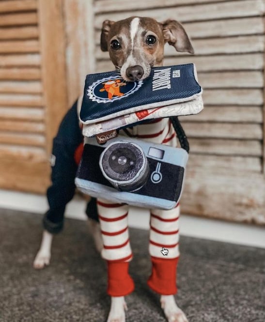 【P.L.A.Y】カメラ DOG TOY（Globetrotter）