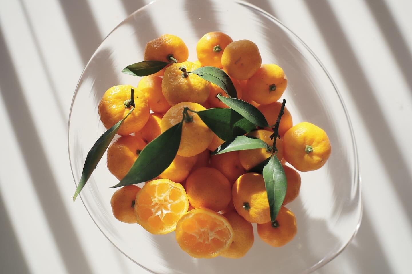 大和橘果実1kg（農薬不使用） | なら橘プロジェクト推進協議会