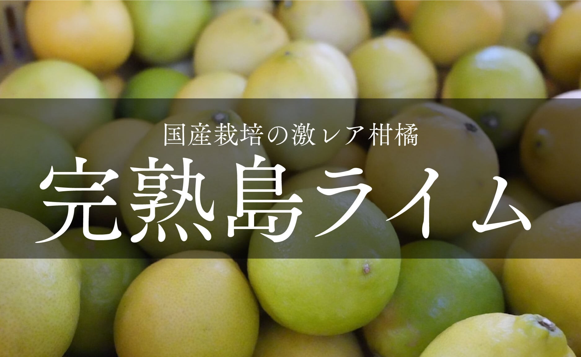 島ライム | わらしべ。