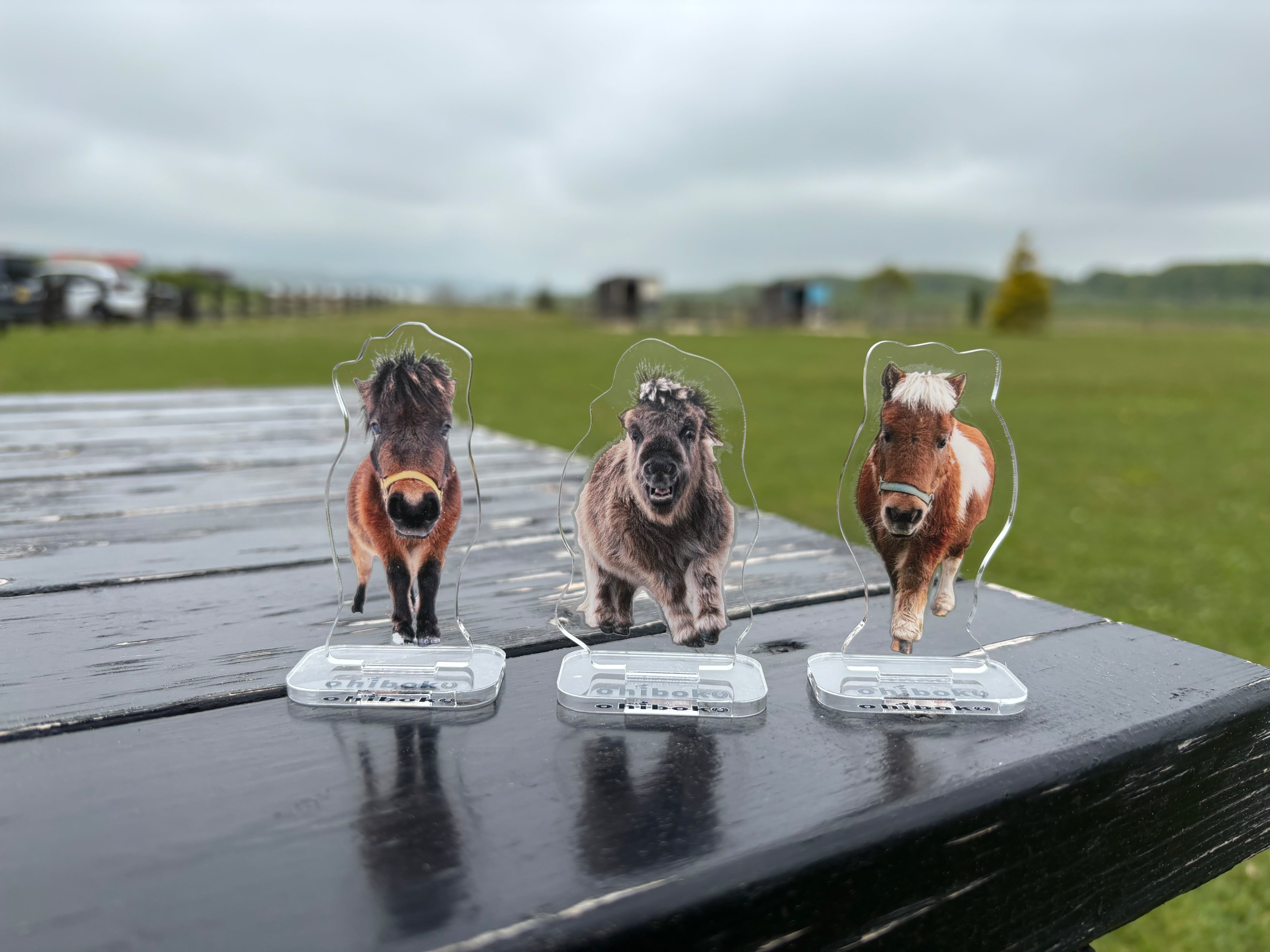 【非売品】新装版動物のお医者さん 完結記念チョビ アクリルチャーム 【当選品】 アクリルスタンド | おひぼくオンラインショップ