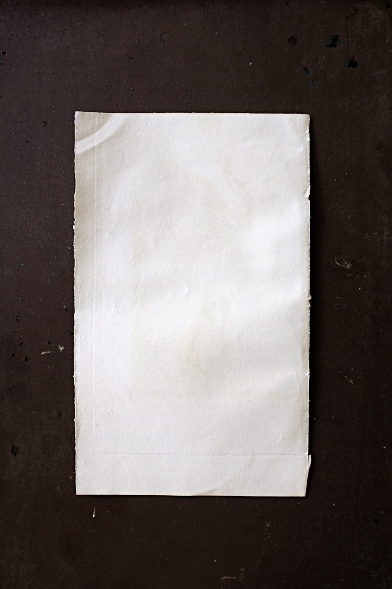 フランス BUFFON 1835s ビュフォン伯爵による動物たちの博物画 サバンナモンキー アンティーク