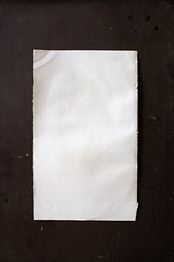 フランス BUFFON 1835s ビュフォン伯爵による動物たちの博物画 サバンナモンキー アンティーク