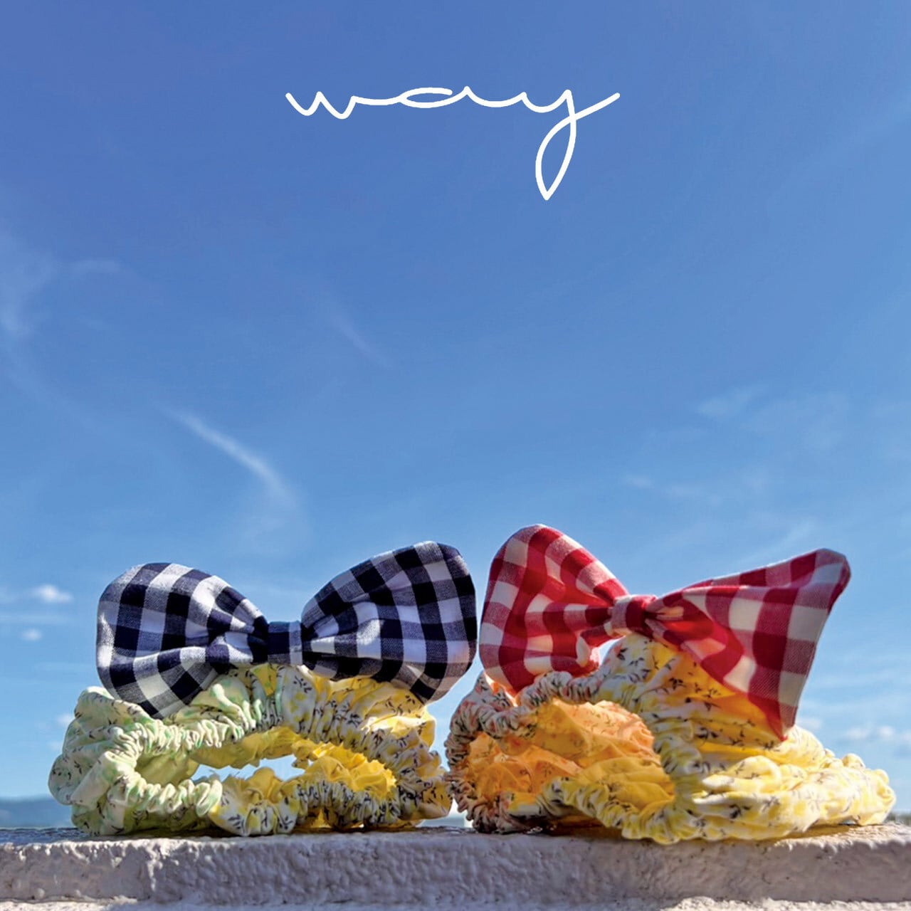 1e161a423bdd06cff5fc6b1f22ae6d