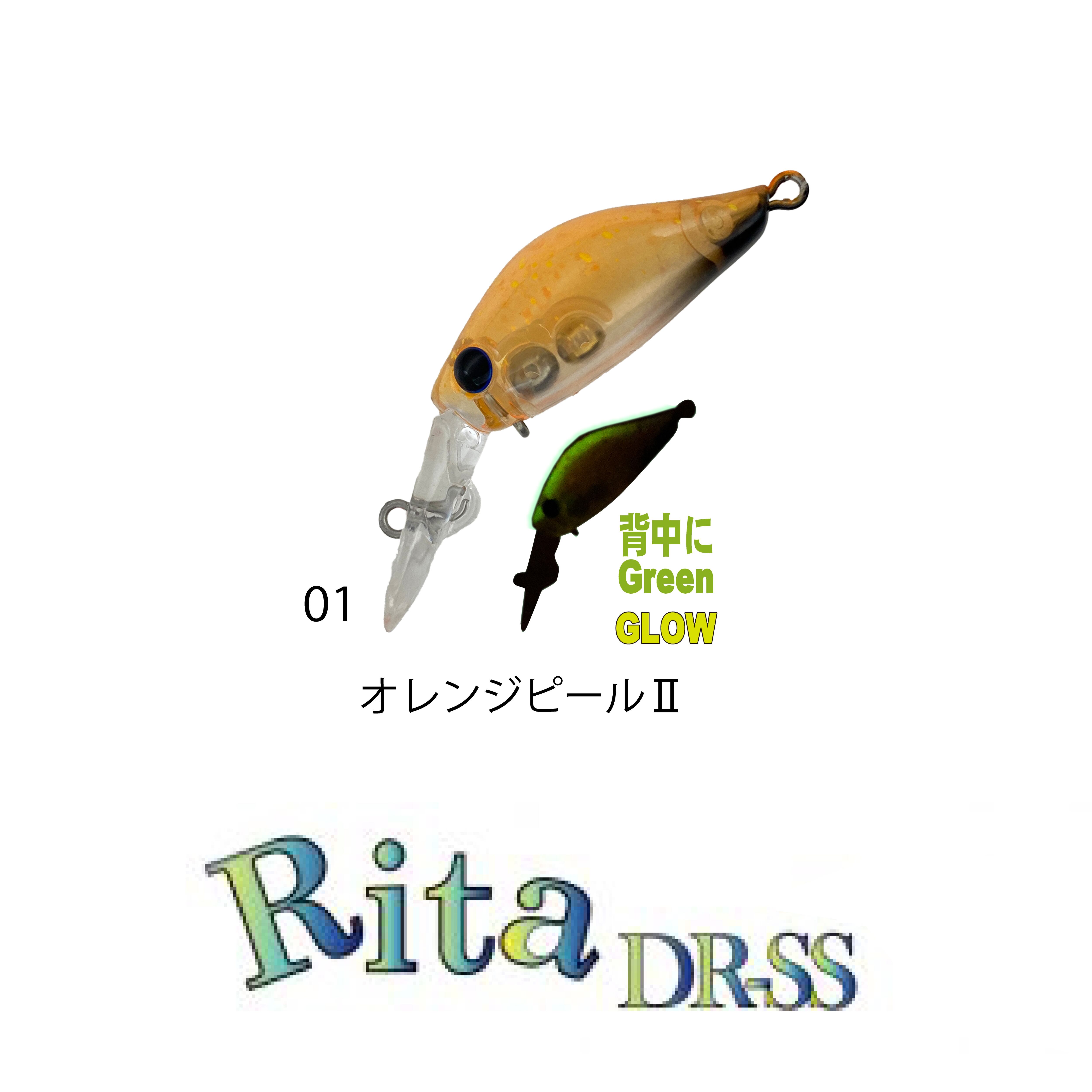 IVYLINEオフィシャルストア【トラウトフィッシング専門店】