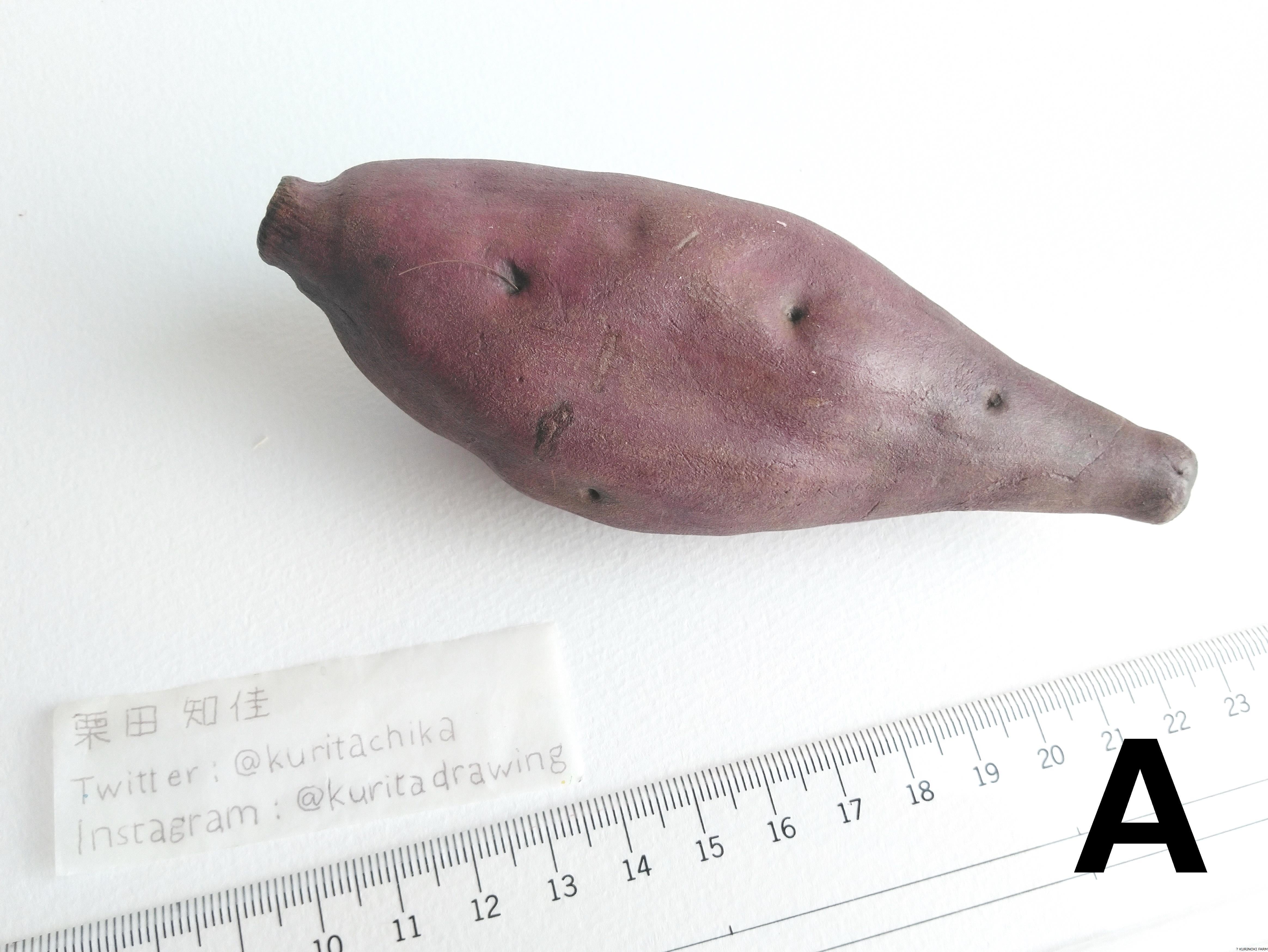 立体絵画》さつまいも | くりのき画廊