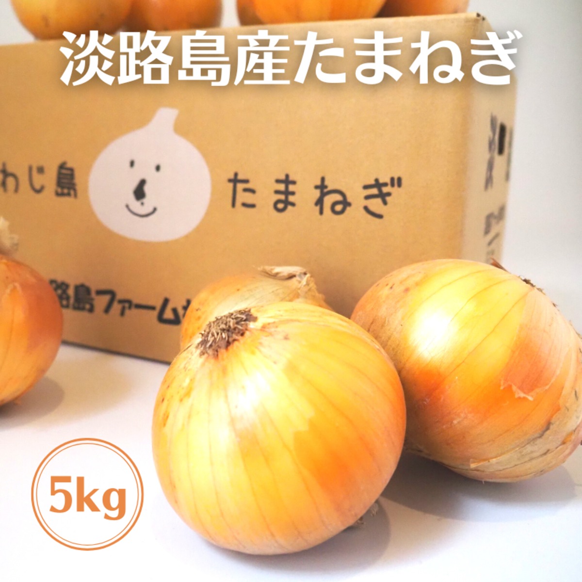淡路島玉ねぎ訳あり品5キロ - 野菜