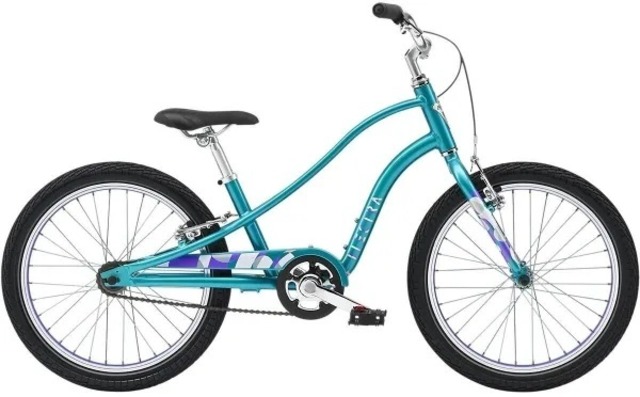 Townie用 ディレイラーハンガー