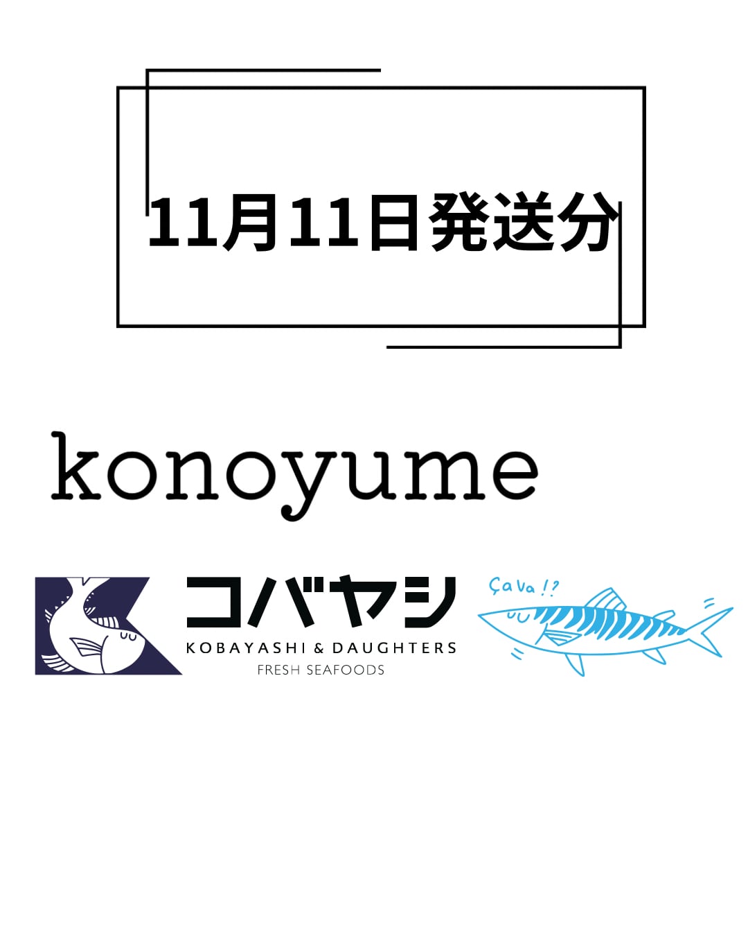 【冷凍】※11/11〜発送分☆★コノユメコラボ★☆受験家庭のためのお魚セット☆★