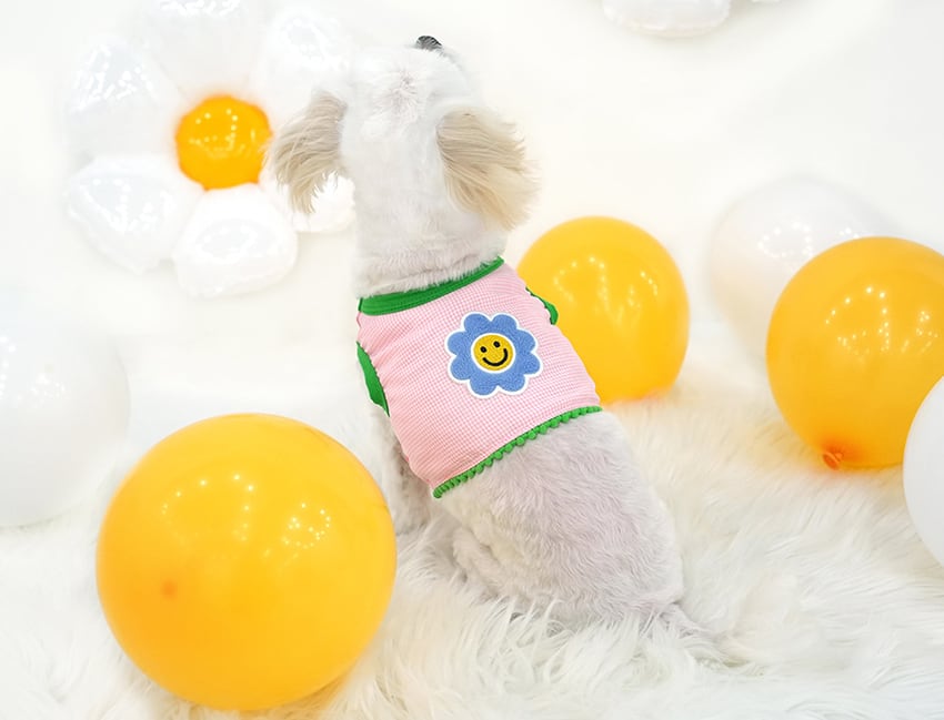 smile flower crop top S ~ XL 2color / 犬服 春夏 新作 可愛い 犬の服 Tシャツ ショート丈 トップス crop top おぱんつカット お揃い ドッグウェア 涼しい ストレッチ カラフル top159
