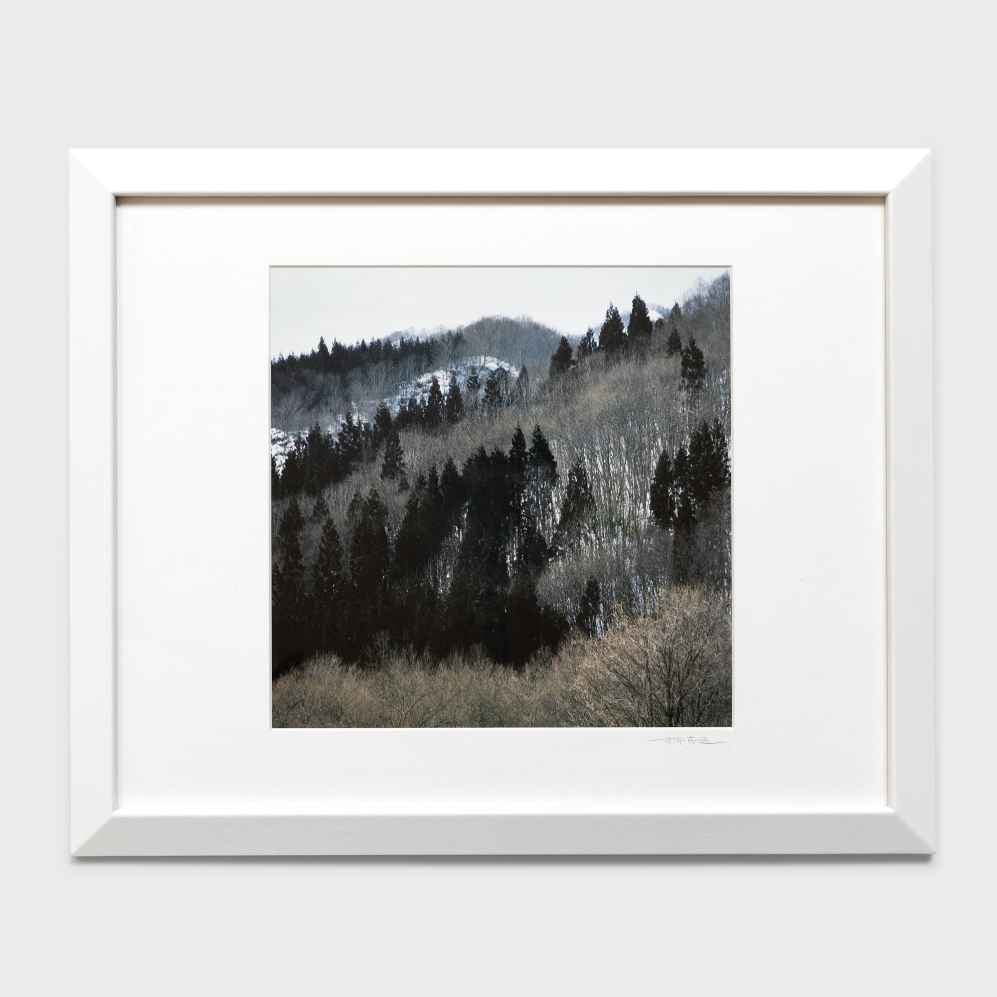 前田真三額装写真「花鳥山水・四季絵模様」白木額〈展示品／直筆サイン