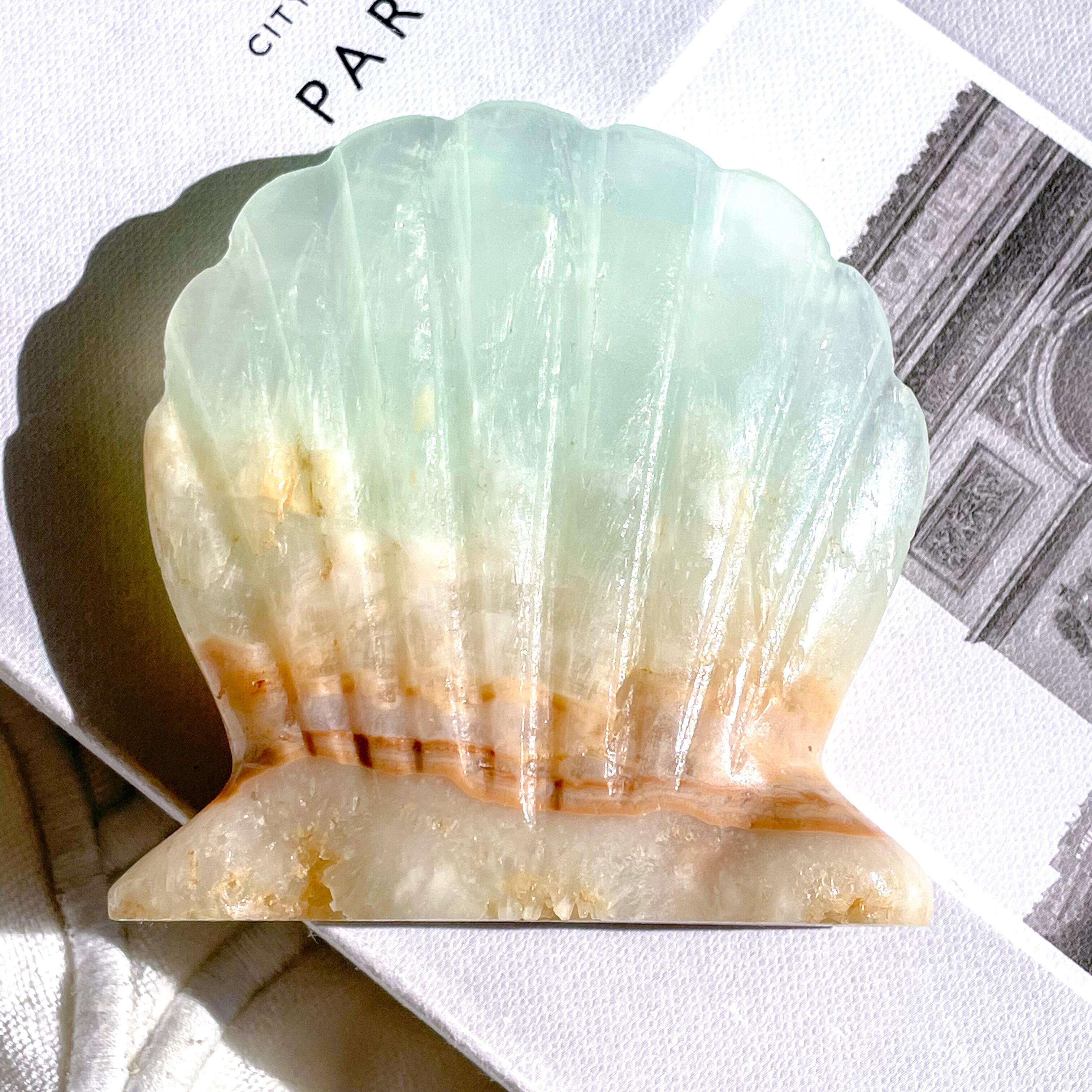 Caribbean Blue Calcite Shell 4 ✧ カリビアンブルーカルサイト
